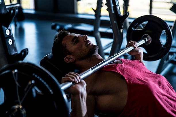 Overhead Press Muscles Worked