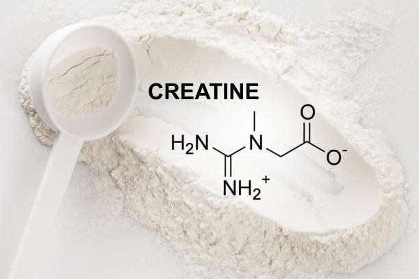 Does Creatine Help You Lose Weight?